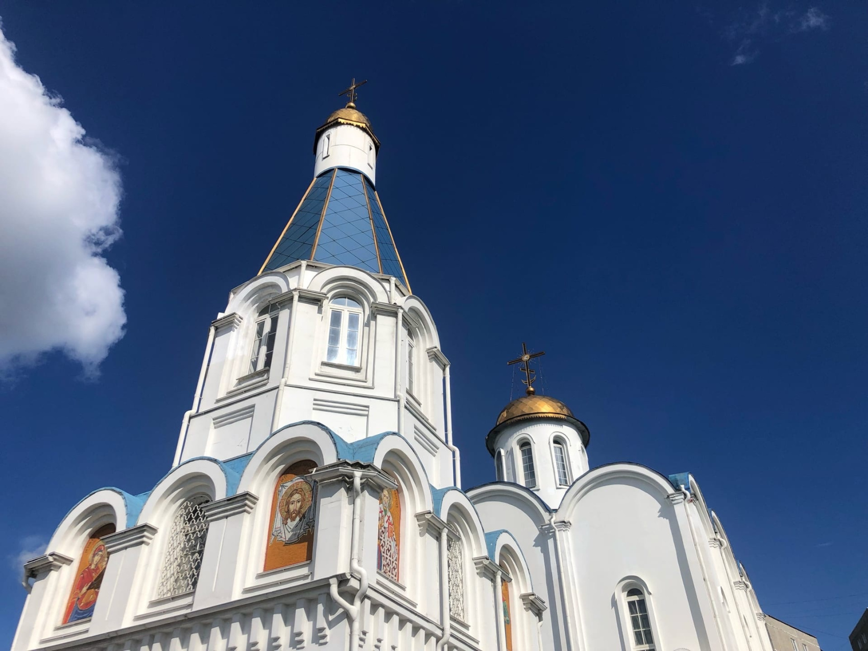 Териберка на поиски китов (61/95)