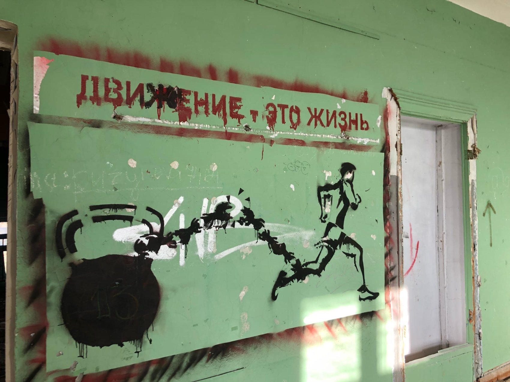 Териберка на поиски китов (52/95)