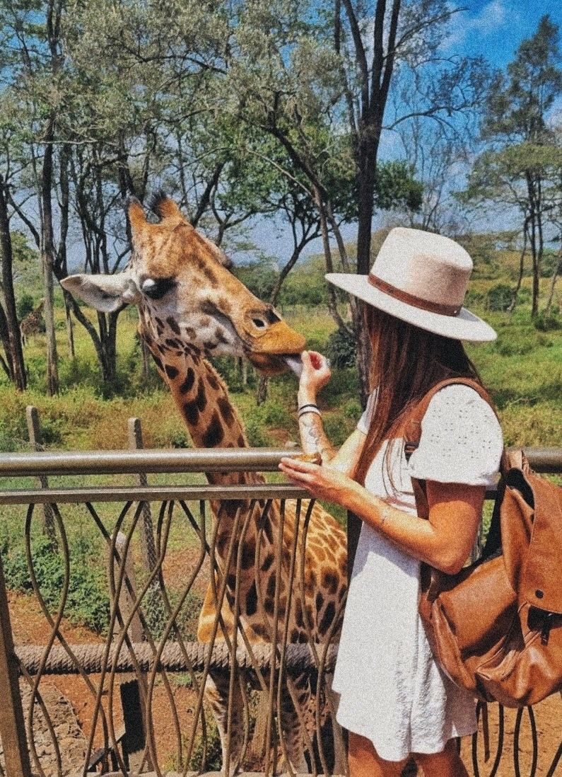 Большой сафари сет : Увидеть всё - 5 нацпарков (3/15)