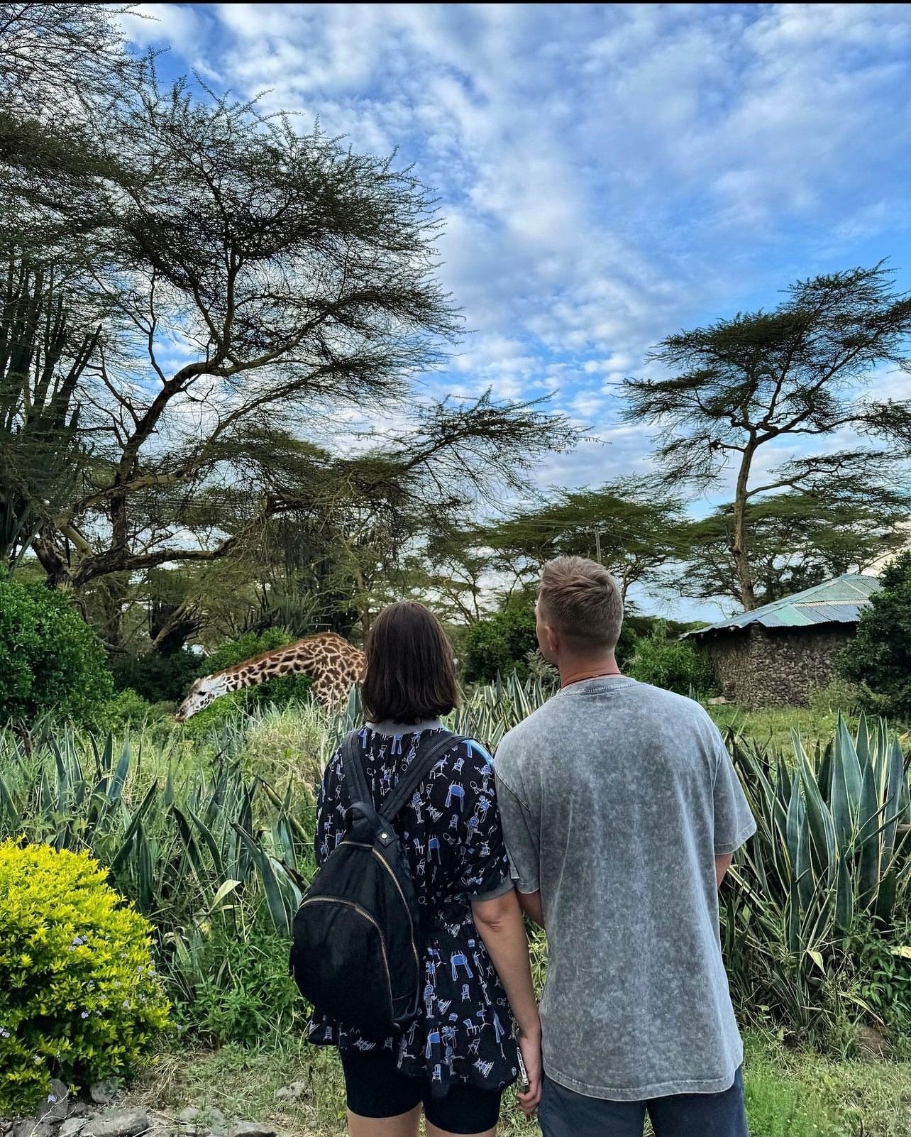 Большой сафари сет : Увидеть всё - 5 нацпарков (5/15)