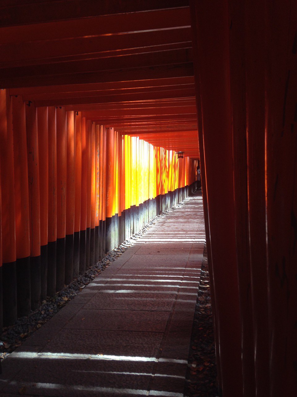 Япония за 8 дней: максимум впечатлений, минимум стресса (3/26)