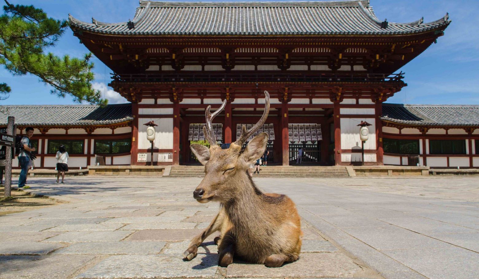 Аутентичная Япония с отдыхом на горячих источниках (2/33)