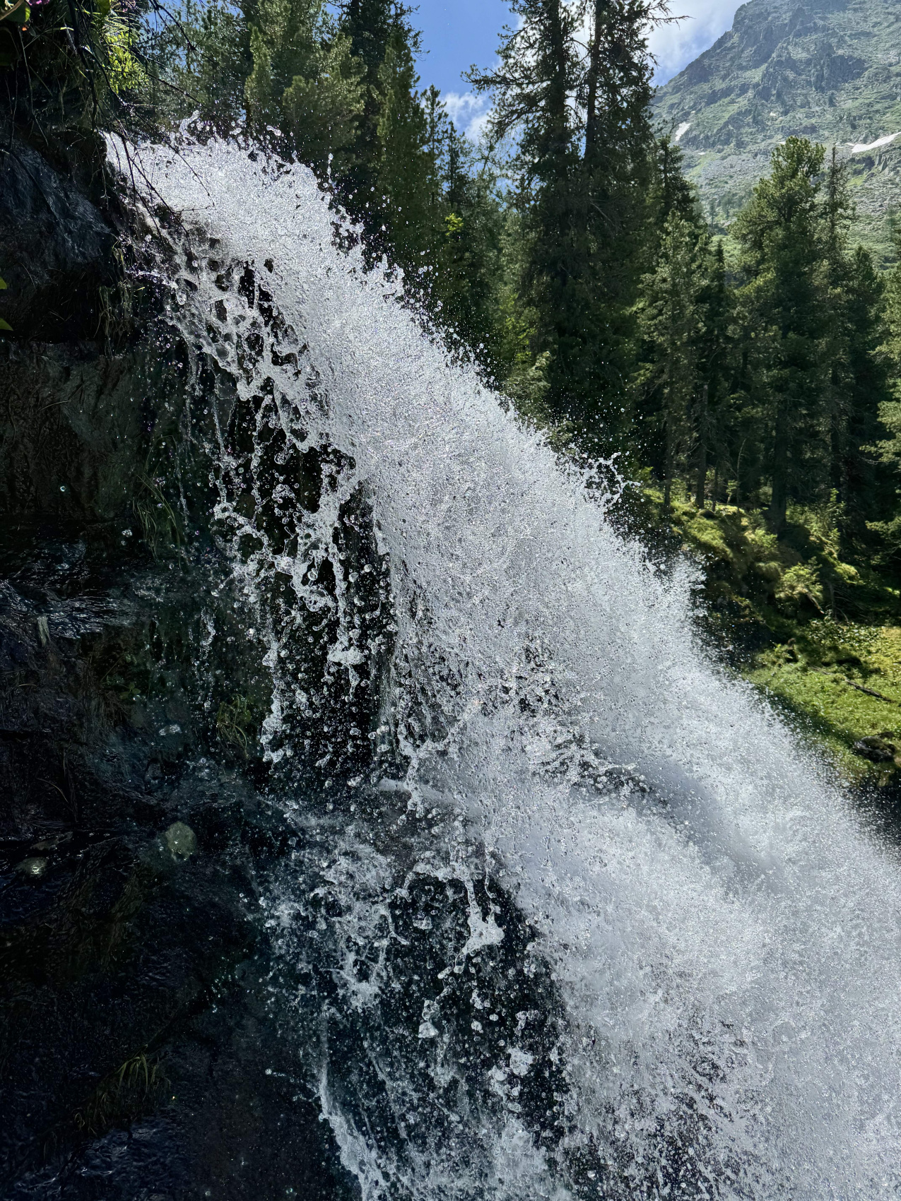 Горный Алтай. Мультинские озера с комфортом. (37/70)