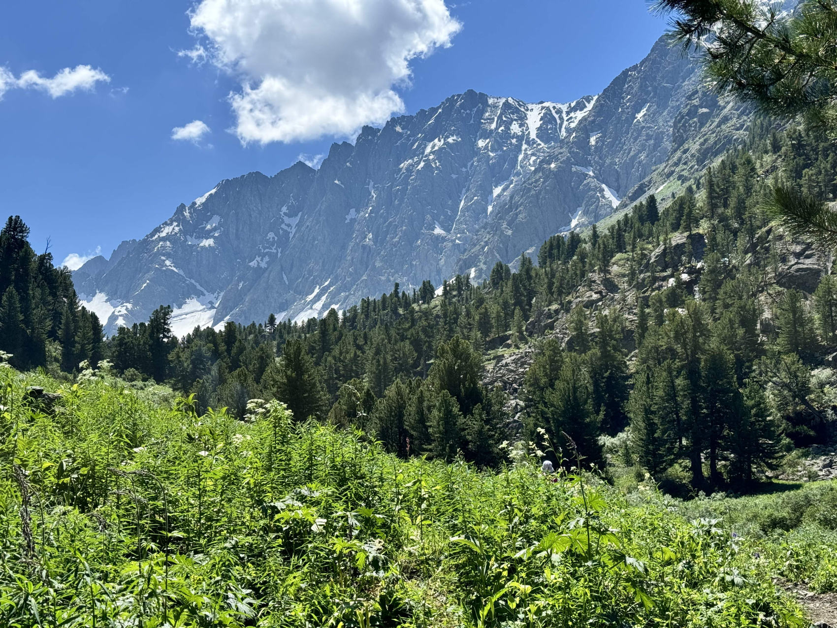 Горный Алтай. Мультинские озера с комфортом. (43/70)