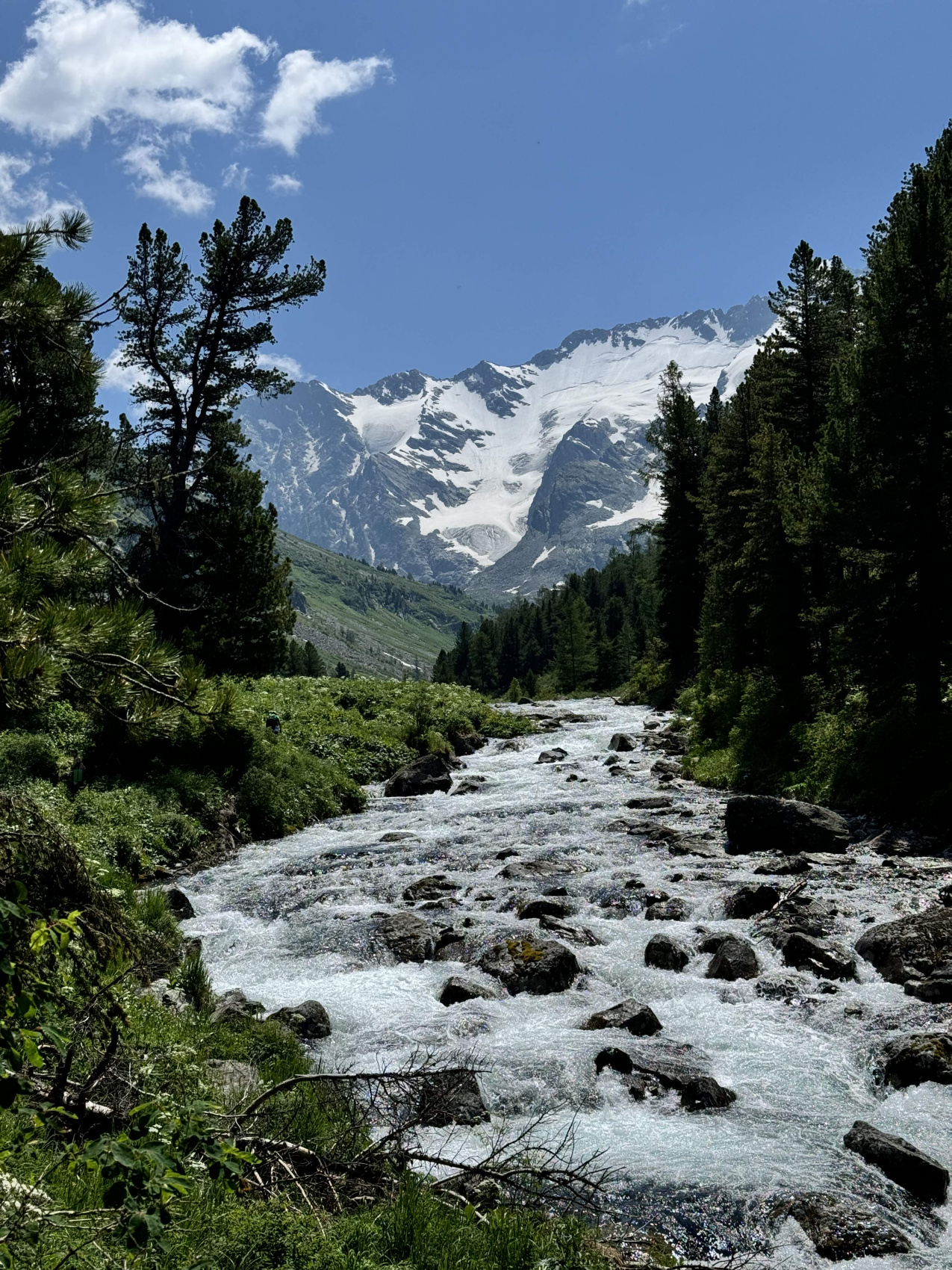 Горный Алтай. Мультинские озера с комфортом. (42/70)