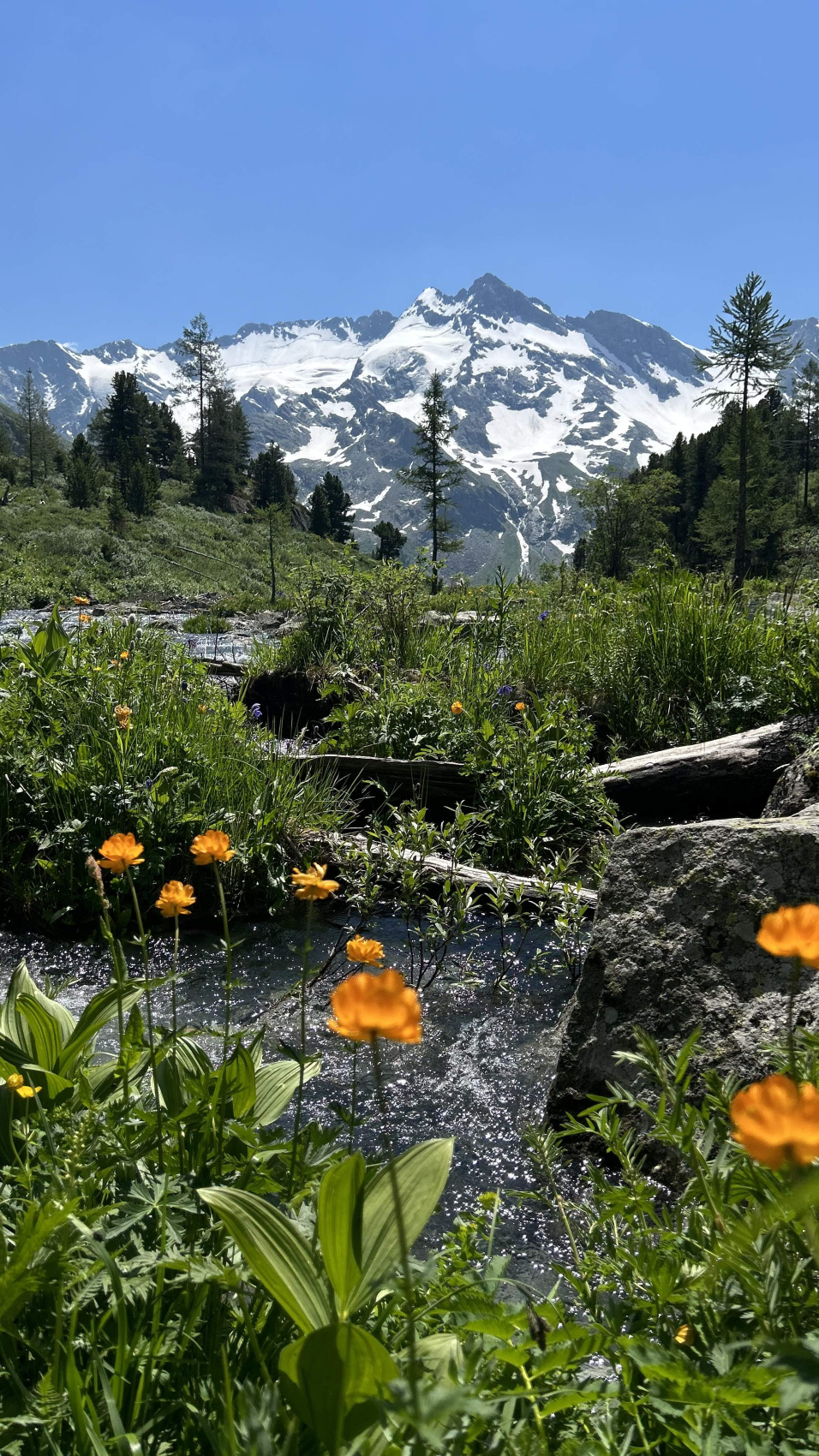 Горный Алтай. Мультинские озера с комфортом. (46/70)
