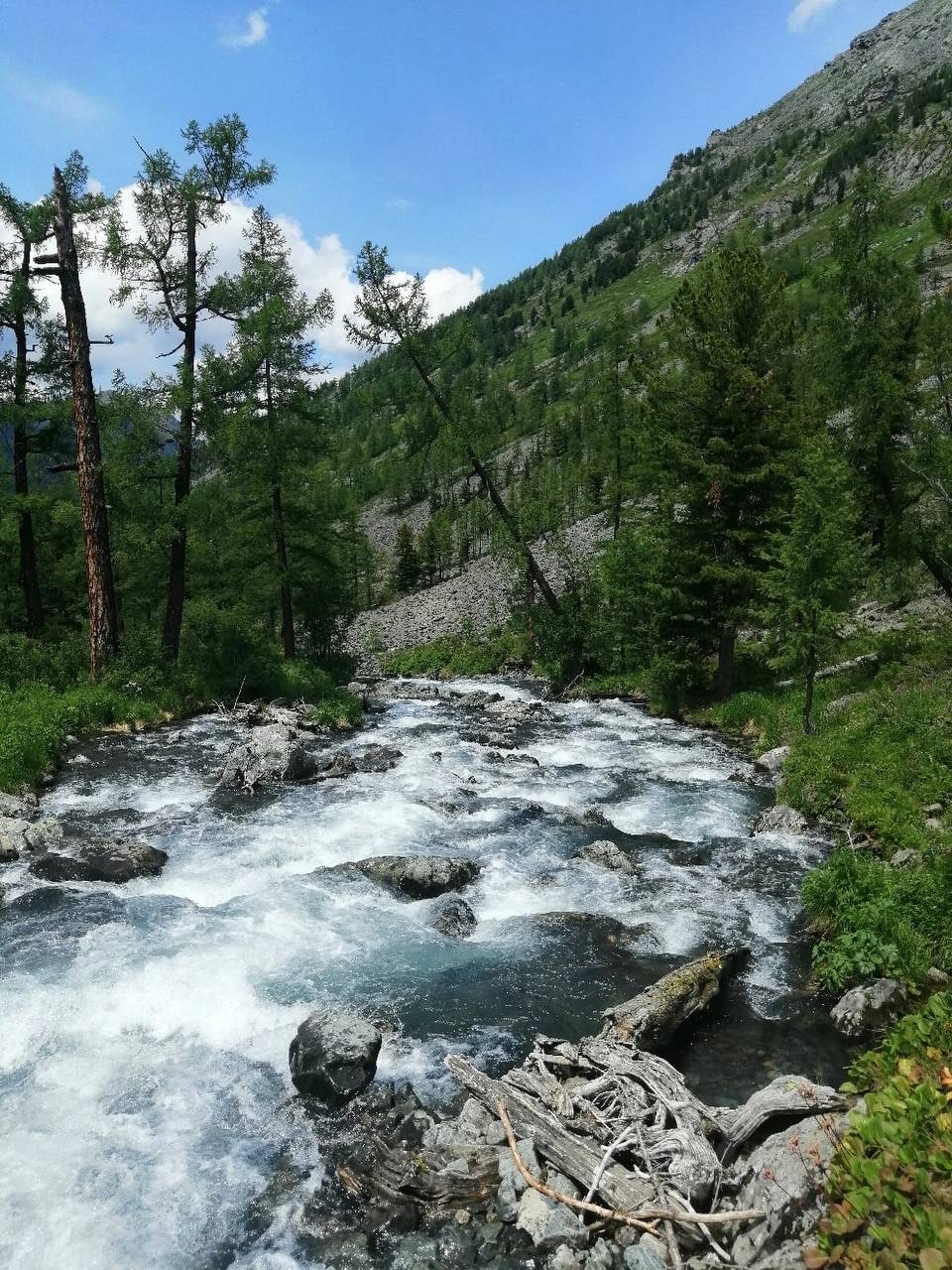 Горный Алтай. Мультинские озера с комфортом. (21/70)