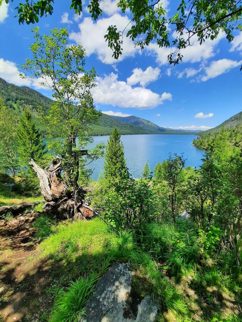 Горный Алтай. Мультинские озера с комфортом. (16/70)