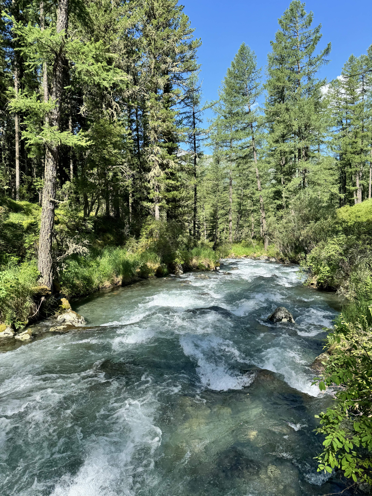 Горный Алтай. Мультинские озера с комфортом. (36/70)