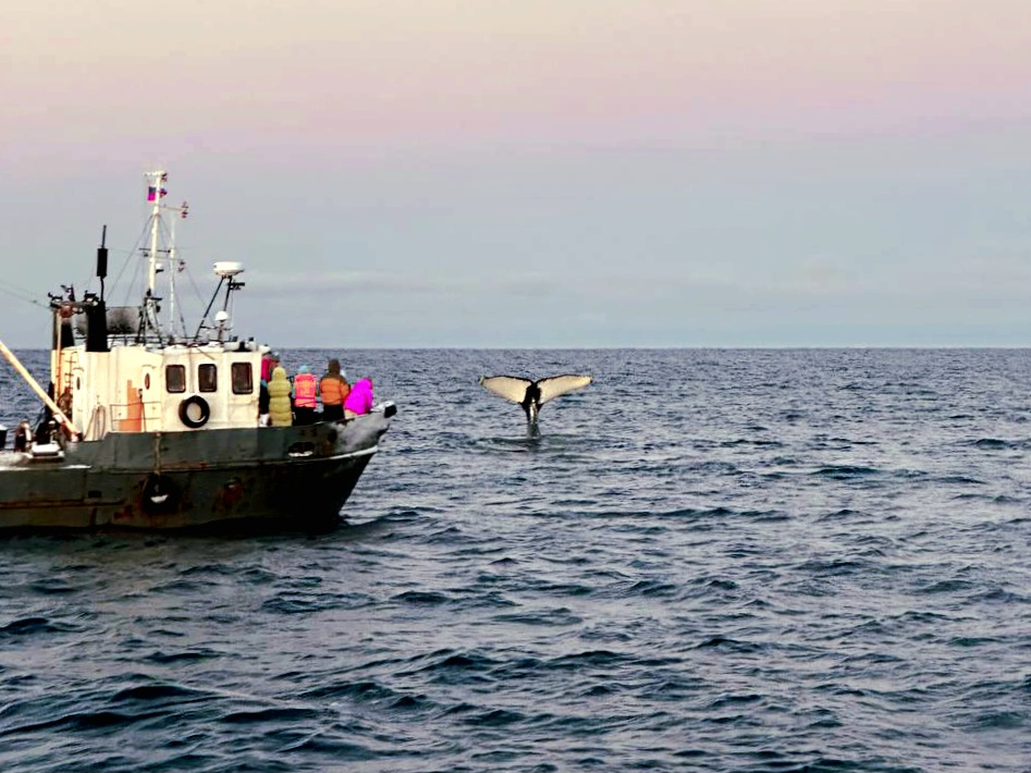 Путешествие в Териберку. В поисках северного сияния (2/22)