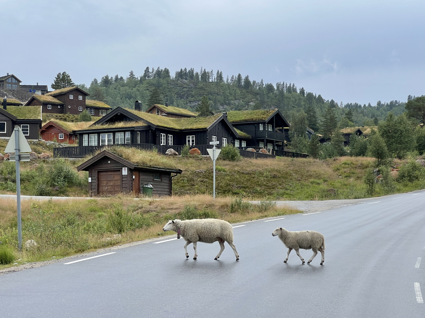 Норвегия: Твой сказочный роудтрип (2/35)