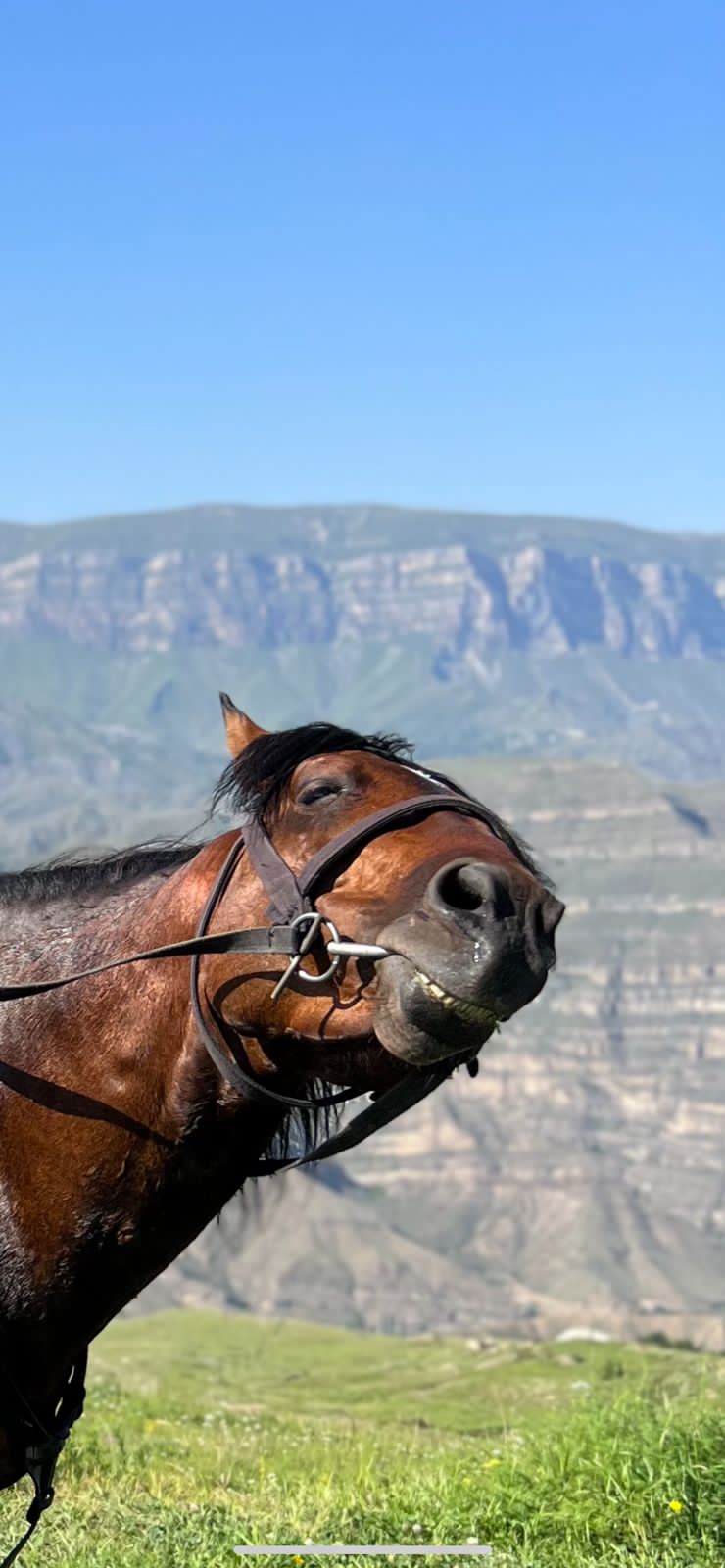 Дагестан-Все Включено 5 дней (9/31)
