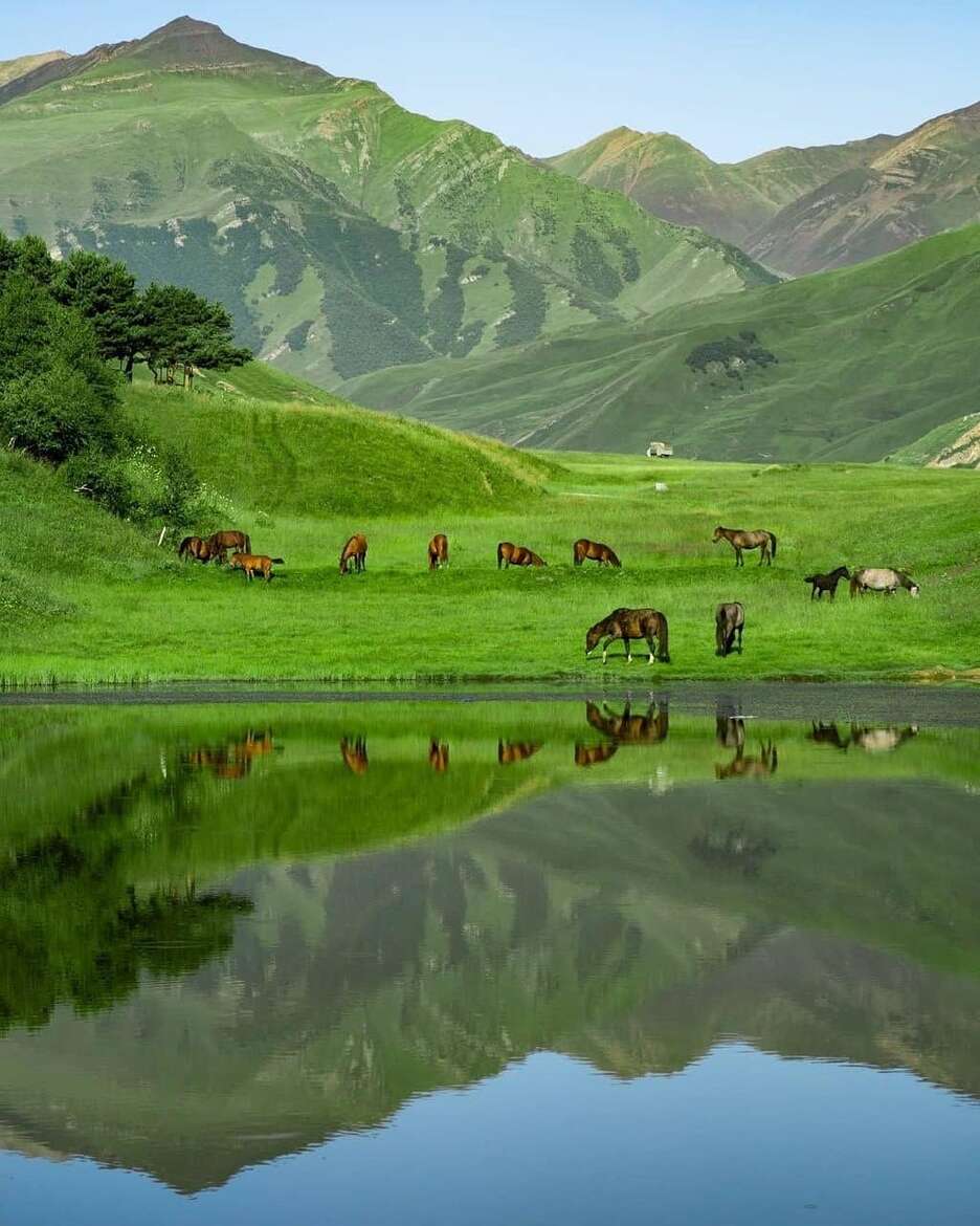 Дагестан-Все Включено 5 дней (15/31)