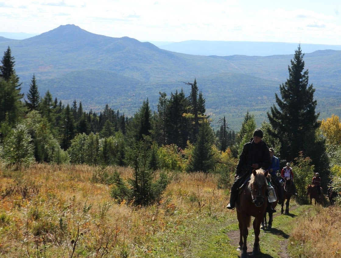 Конный тур Лесные сказки 4 дня/3 ночи