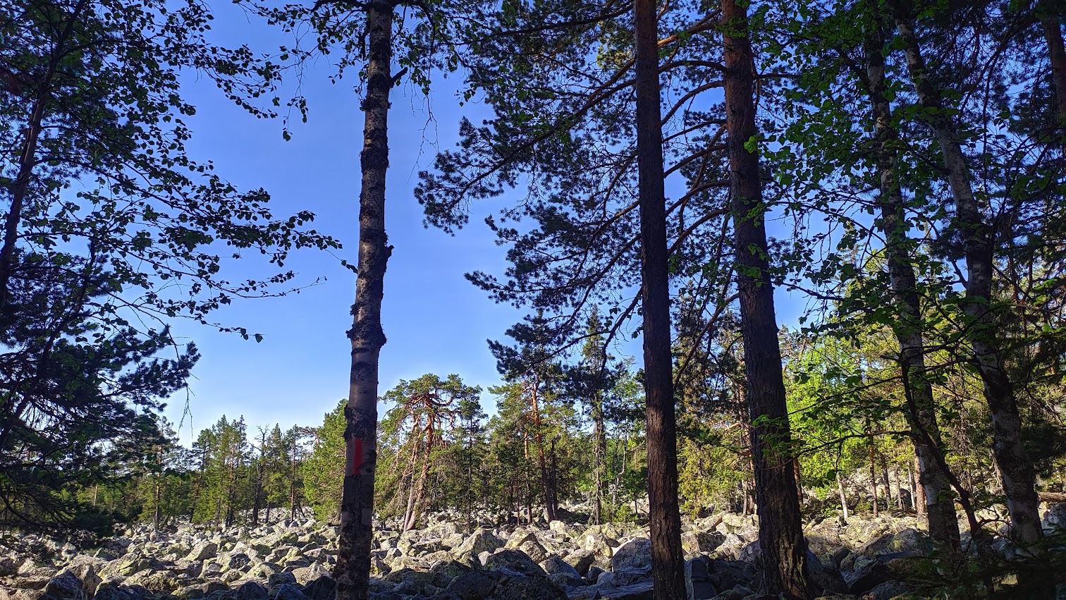 Джипинг-сплав мультитур 3 дня/2 ночи (3/12)