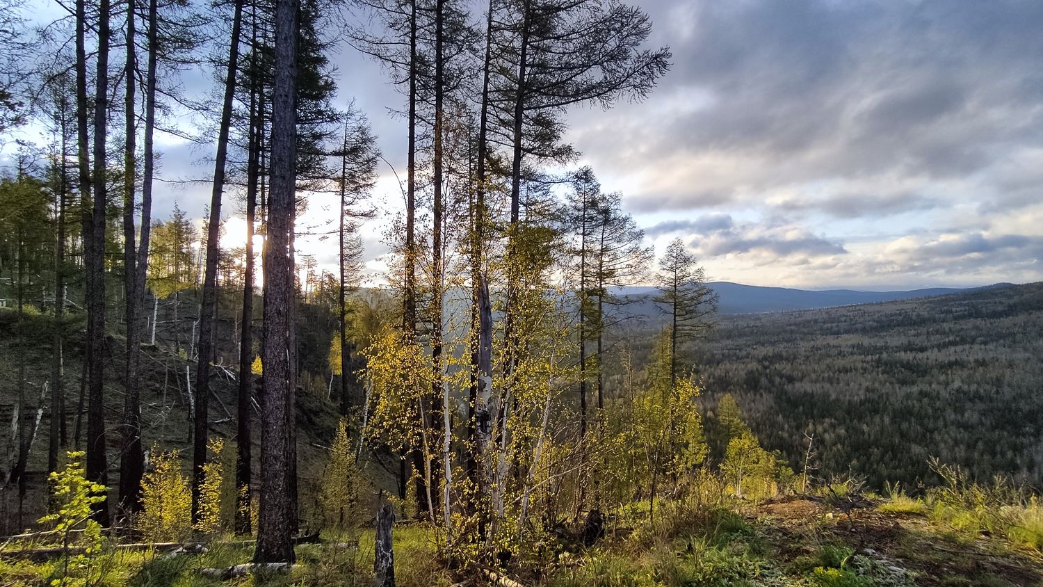 Джипинг-сплав мультитур 3 дня/2 ночи (4/12)
