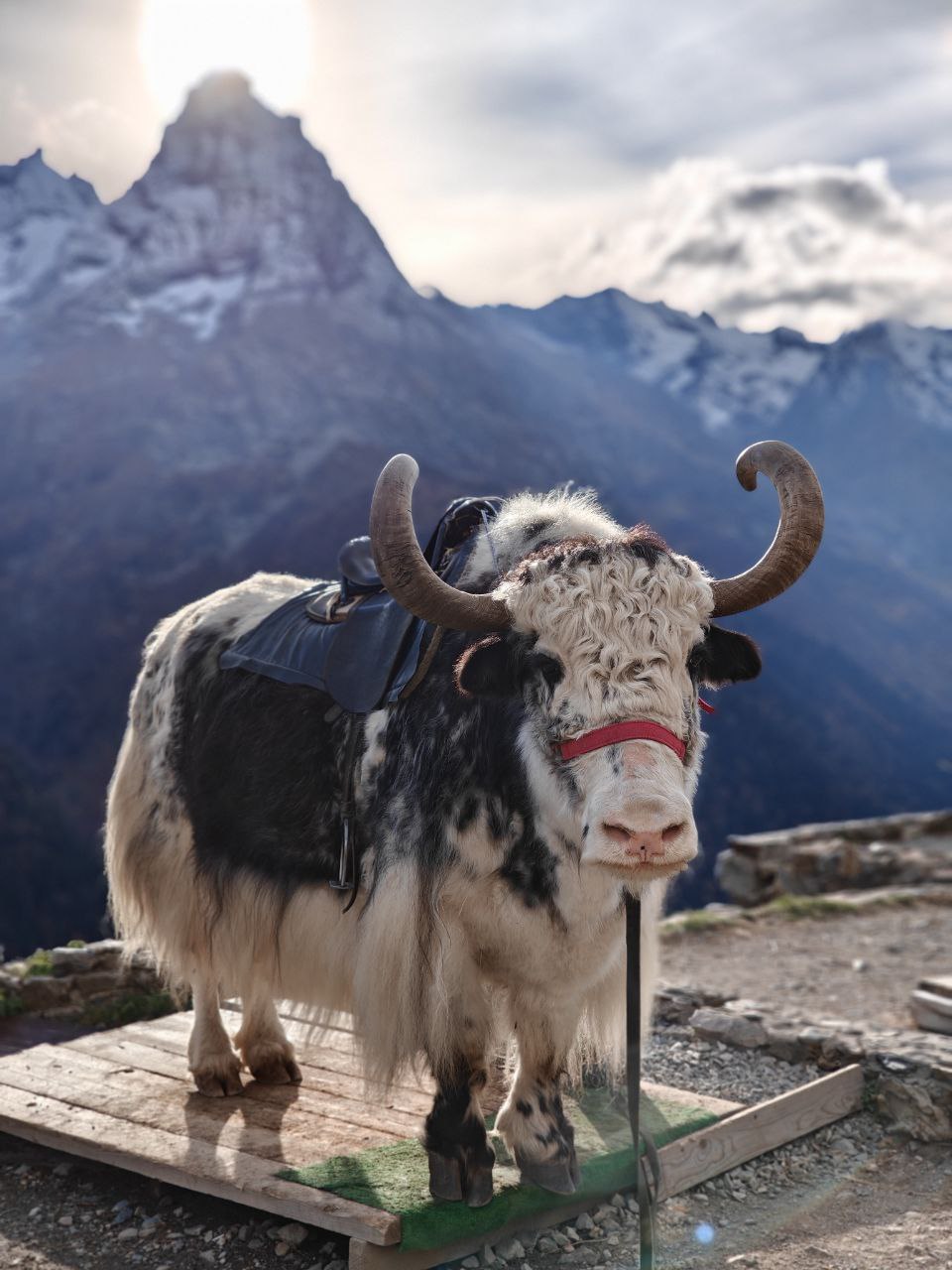 Красоты Домбая. Лучшие трекинги налегке (5/67)