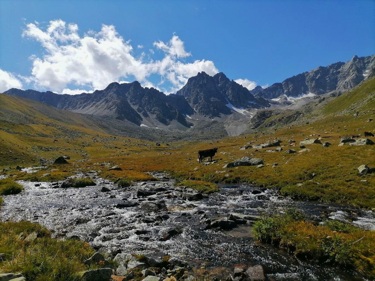 Красоты Домбая. Лучшие трекинги налегке (28/67)