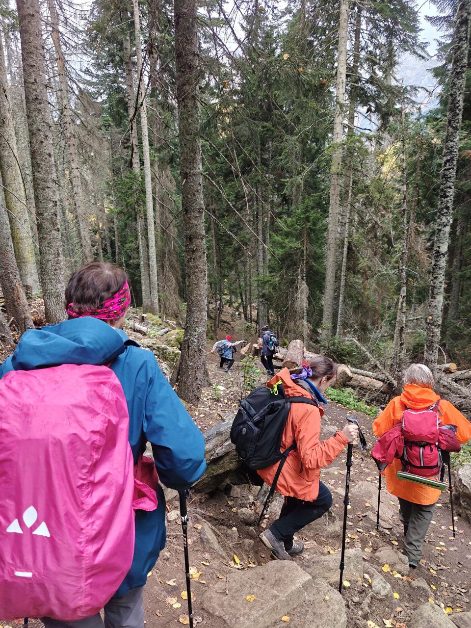 Красоты Домбая. Лучшие трекинги налегке (13/67)