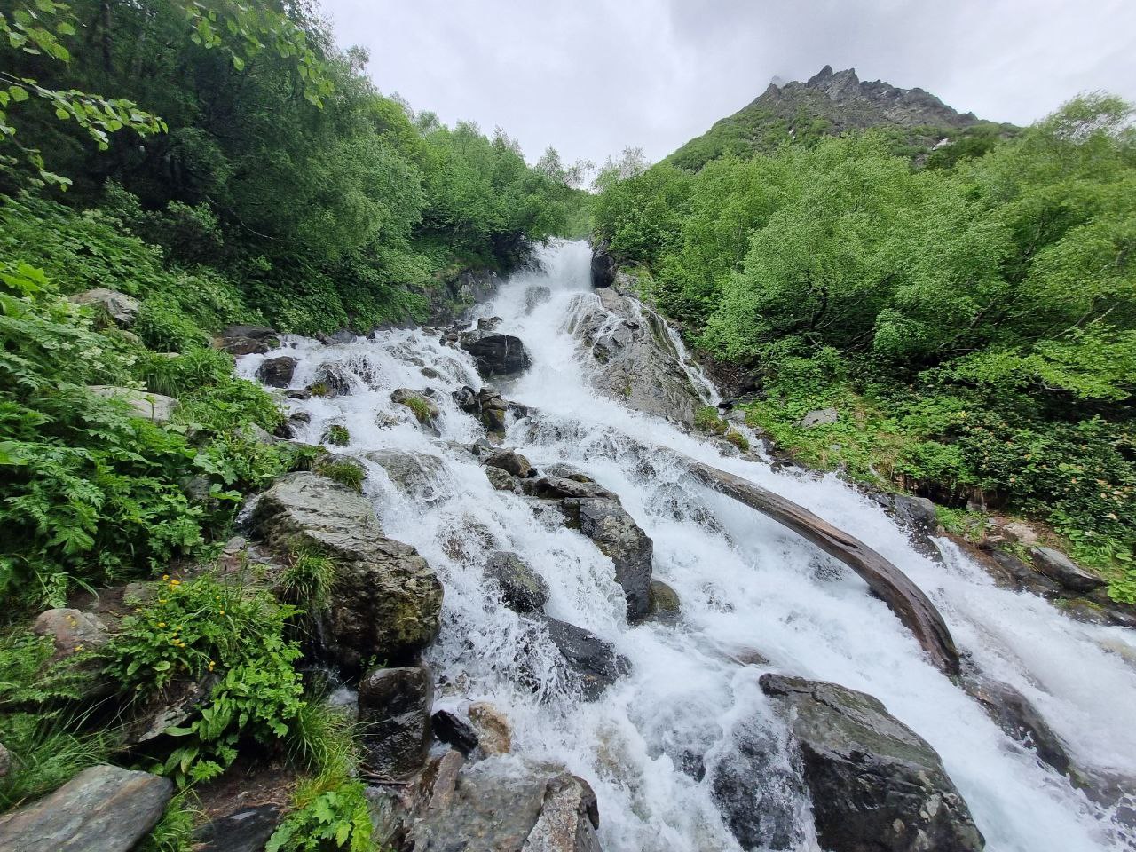 Красоты Домбая. Лучшие трекинги налегке (14/67)