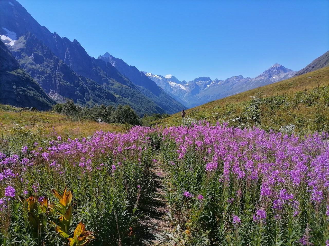Красоты Домбая. Лучшие трекинги налегке (35/67)