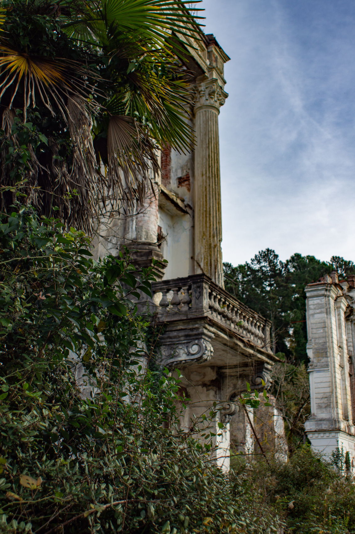 Душевная Абхазия - 4 дня по всей республике! (37/77)