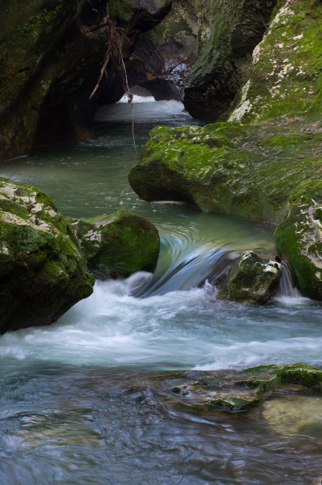 Душевная Абхазия - 4 дня по всей республике! (53/77)