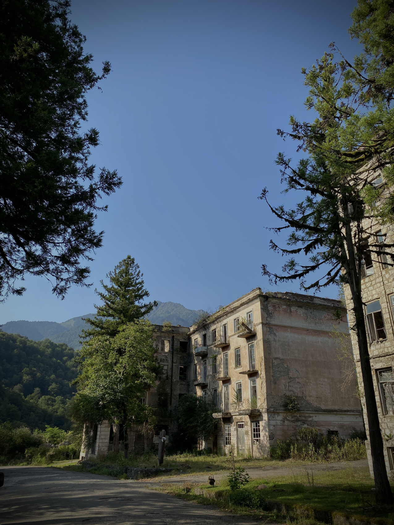 Душевная Абхазия - 4 дня по всей республике! (51/77)