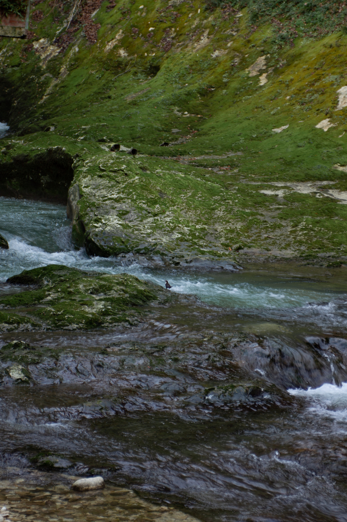 Душевная Абхазия - 4 дня по всей республике! (54/77)