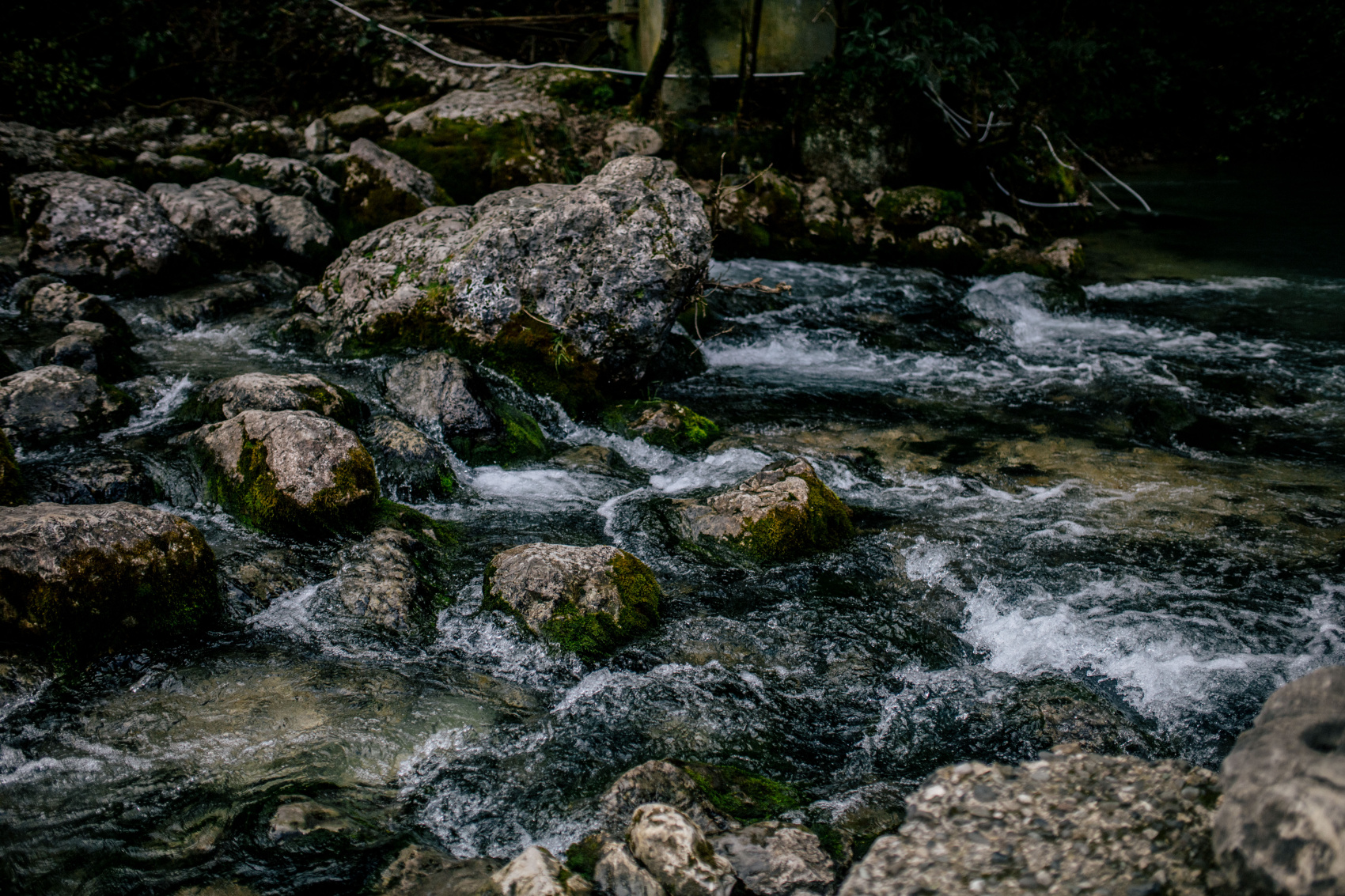 Душевная Абхазия - 4 дня по всей республике! (11/77)