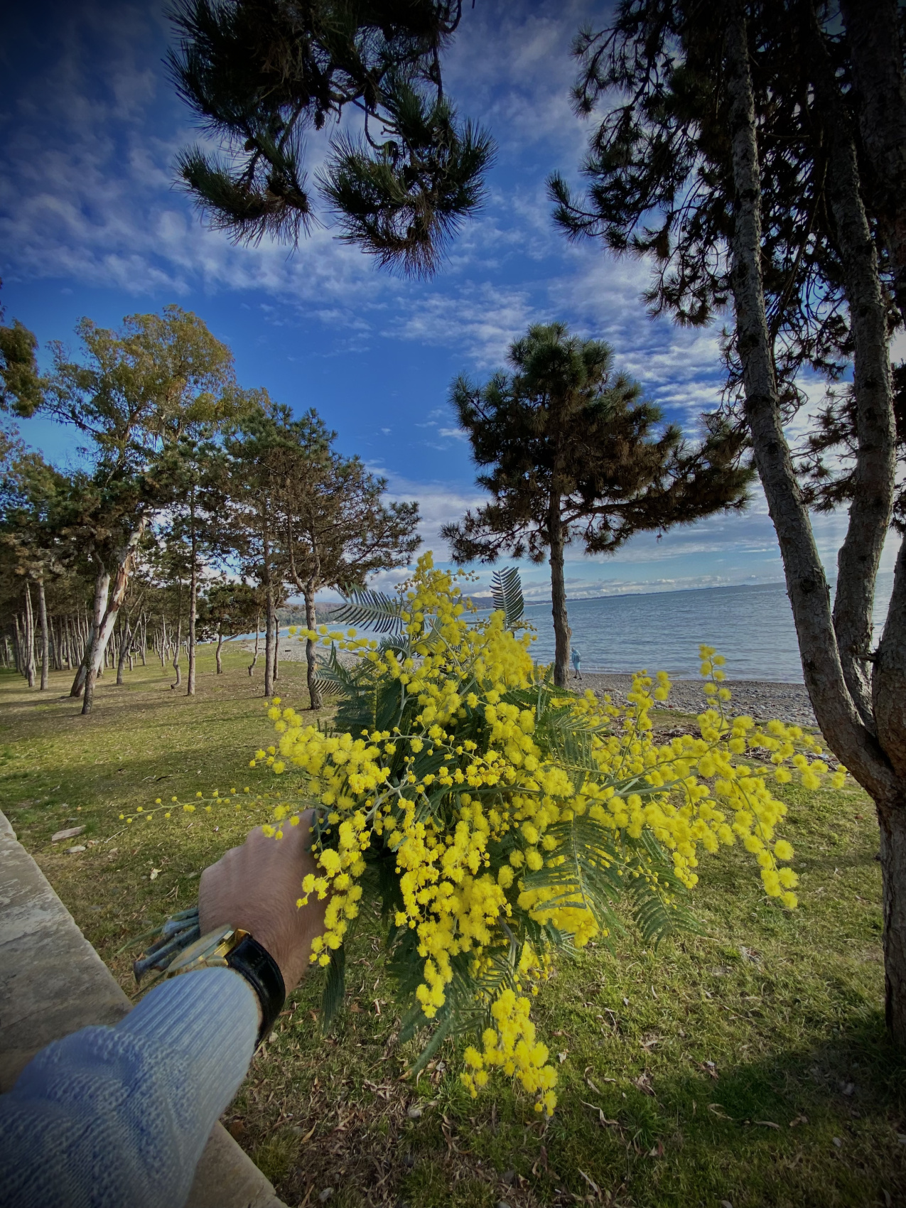 Душевная Абхазия - 4 дня по всей республике! (58/77)