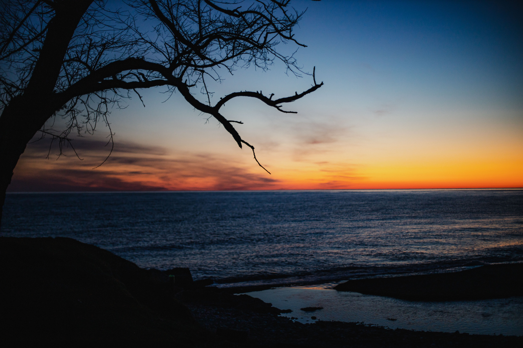 Душевная Абхазия - 4 дня по всей республике! (8/77)