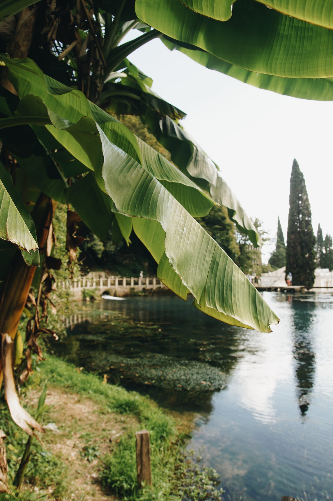 Душевная Абхазия - 4 дня по всей республике! (17/77)