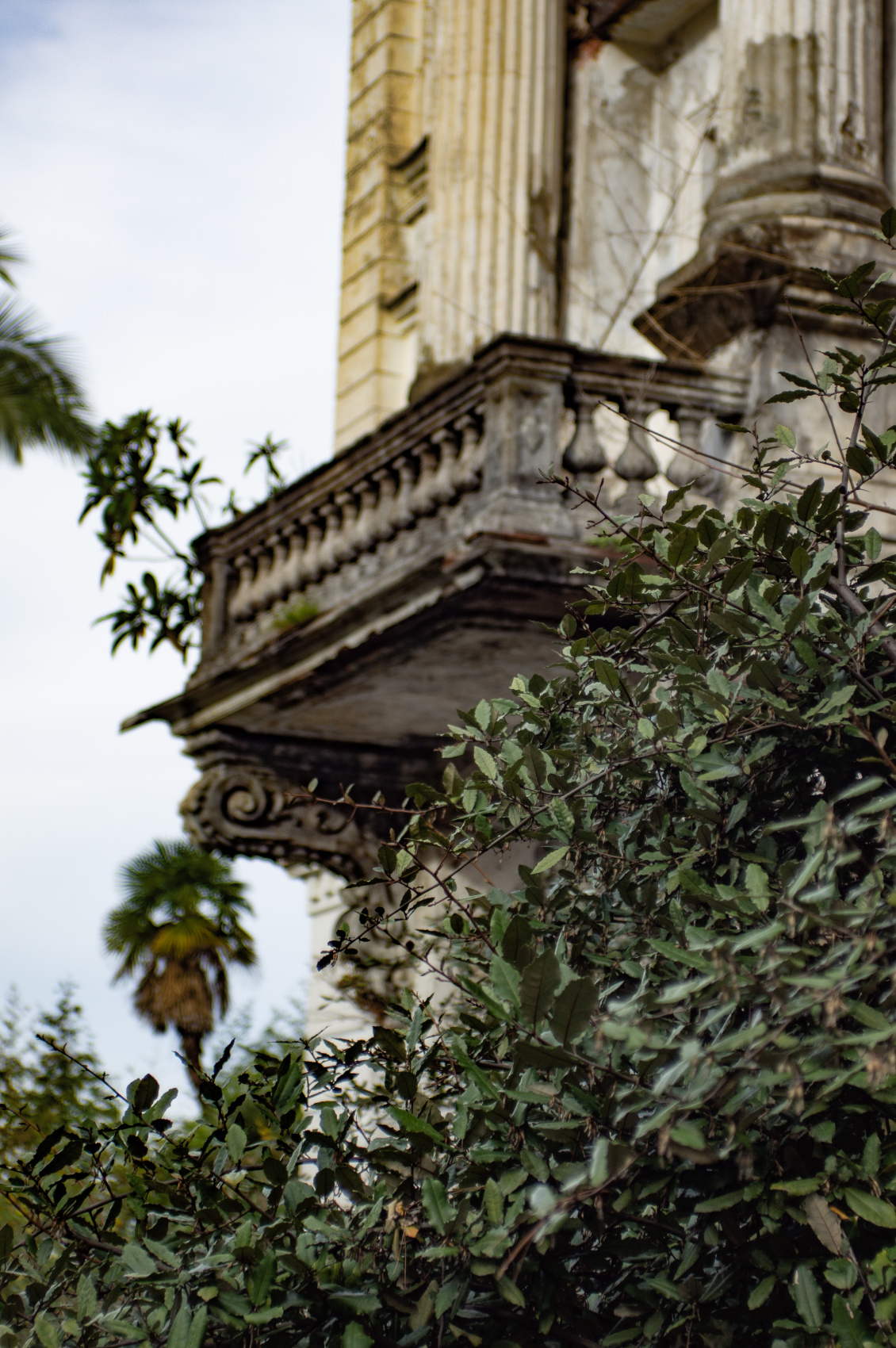 Душевная Абхазия - 4 дня по всей республике! (36/77)