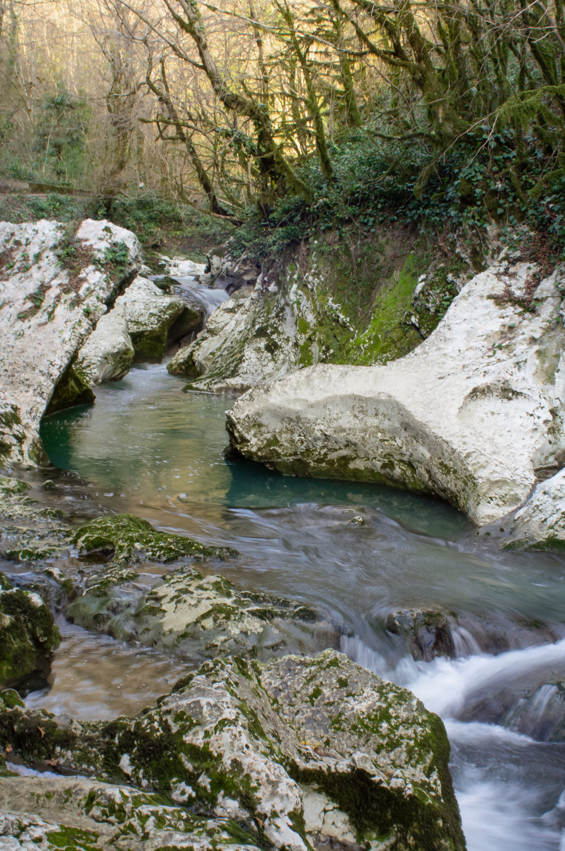 Душевная Абхазия - 4 дня по всей республике! (56/77)