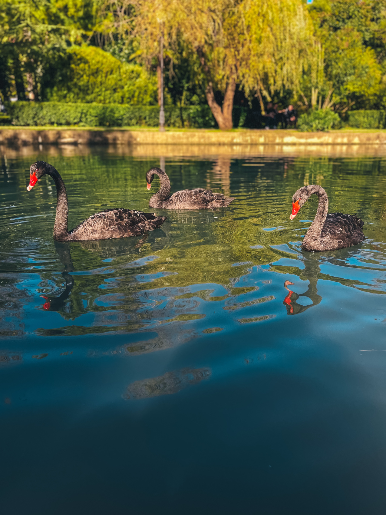 Душевная Абхазия - 4 дня по всей республике! (29/77)