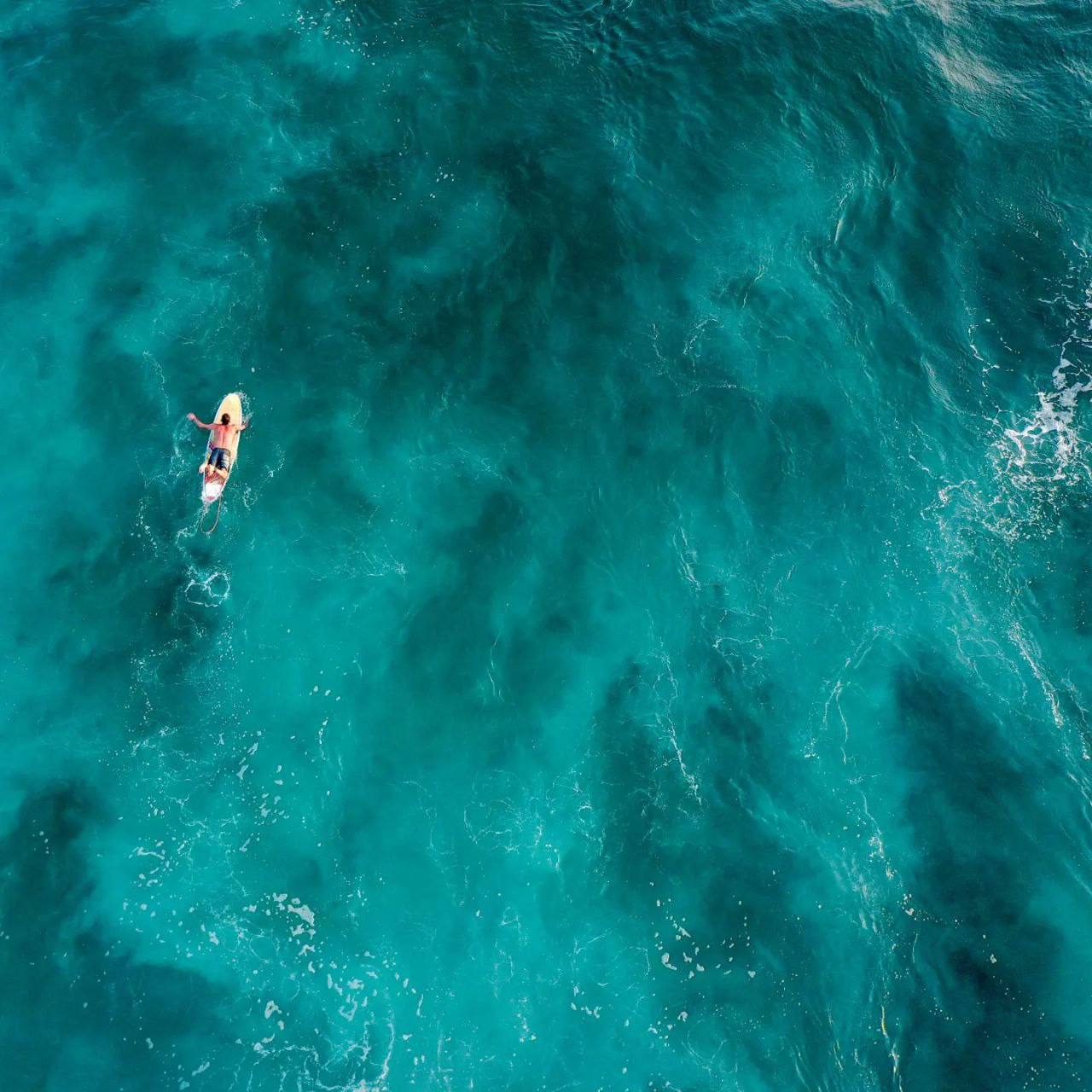 Серф-ретрит ВСЕ ВКЛЮЧЕНО, о.Шри Ланка