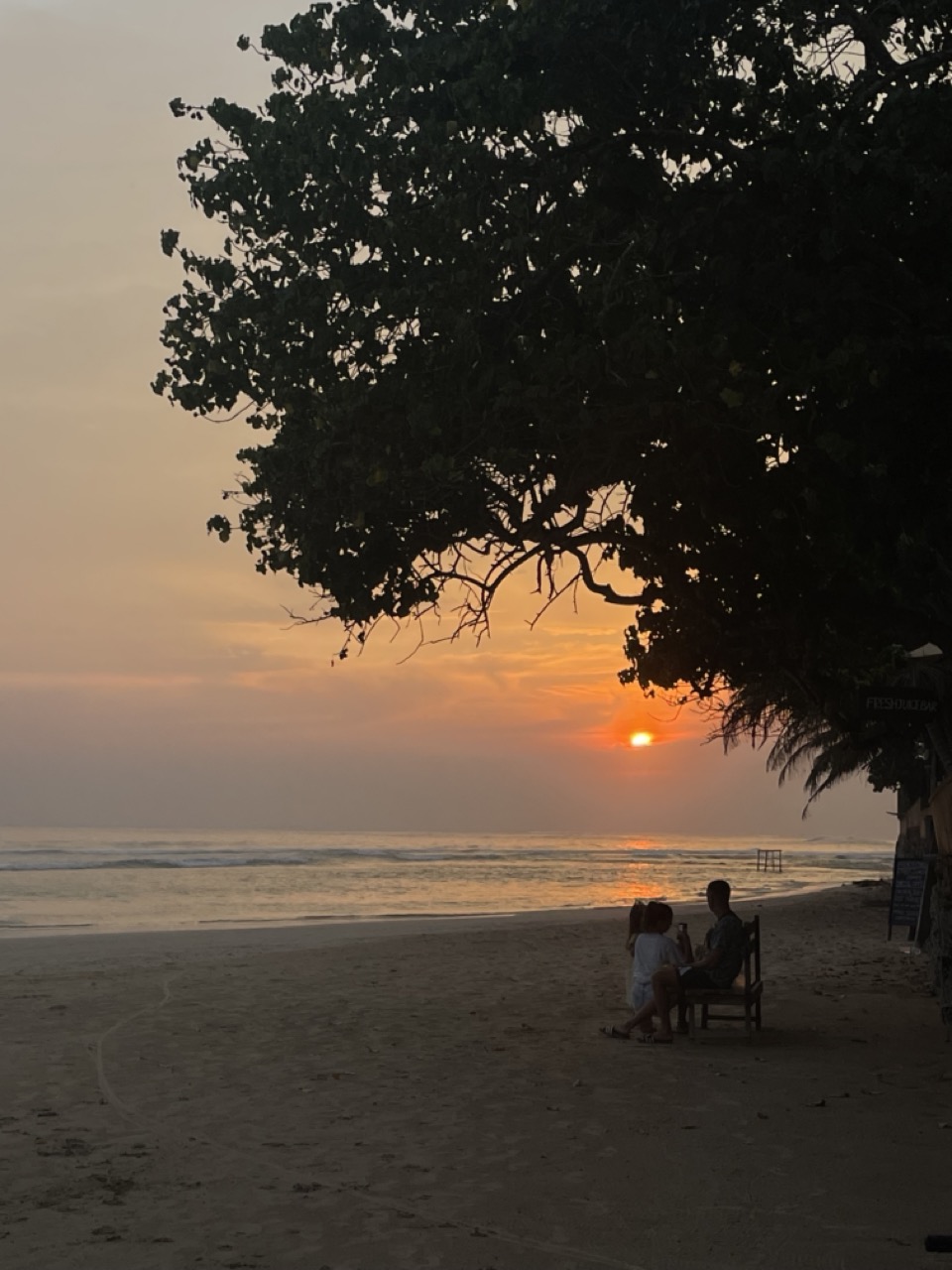 Серф-ретрит ВСЕ ВКЛЮЧЕНО, о.Шри Ланка (6/17)
