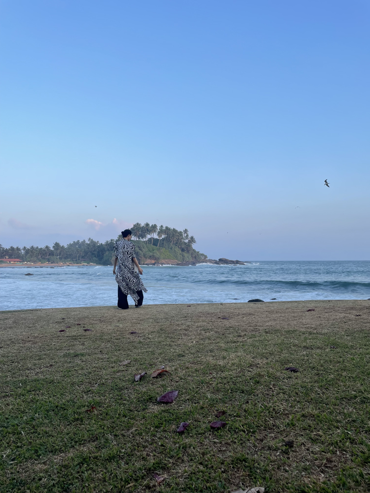 Серф-ретрит ВСЕ ВКЛЮЧЕНО, о.Шри Ланка (9/17)