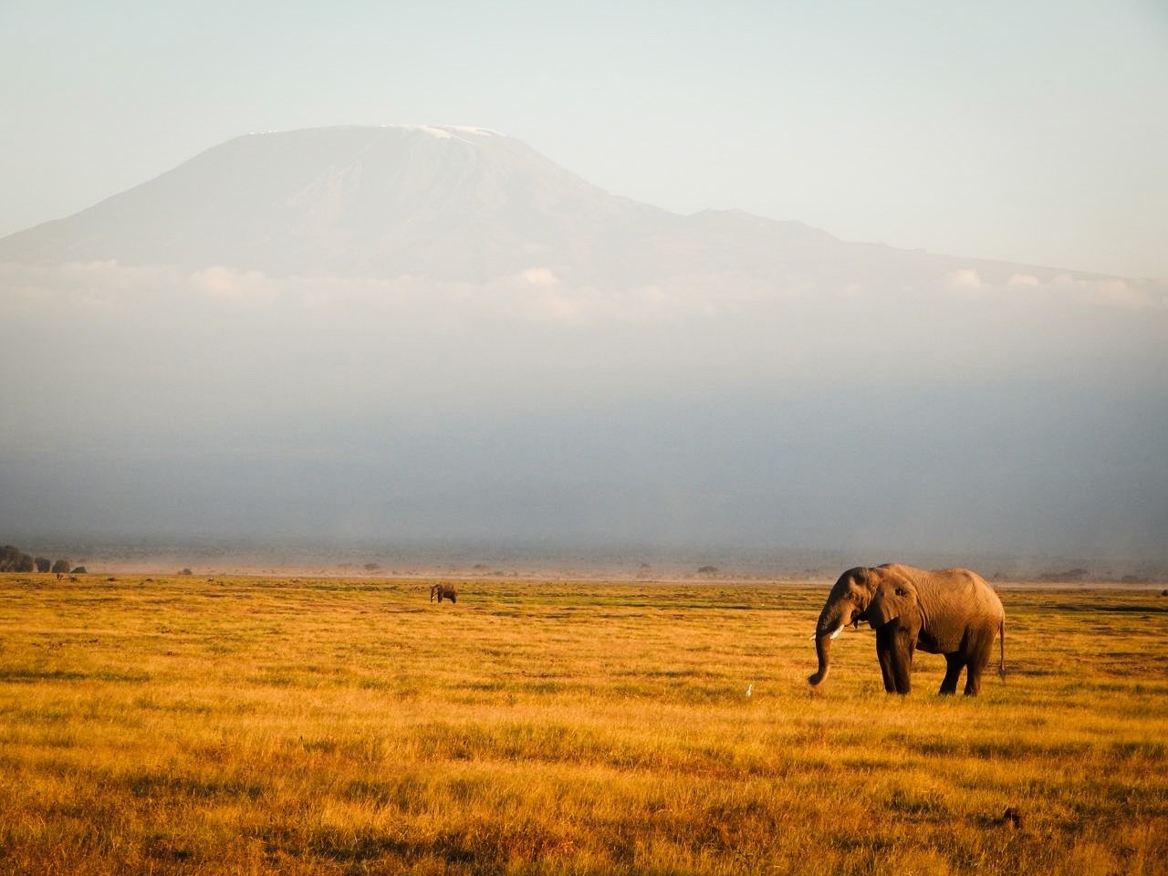 Кения. Африканская пятёрка (9/36)