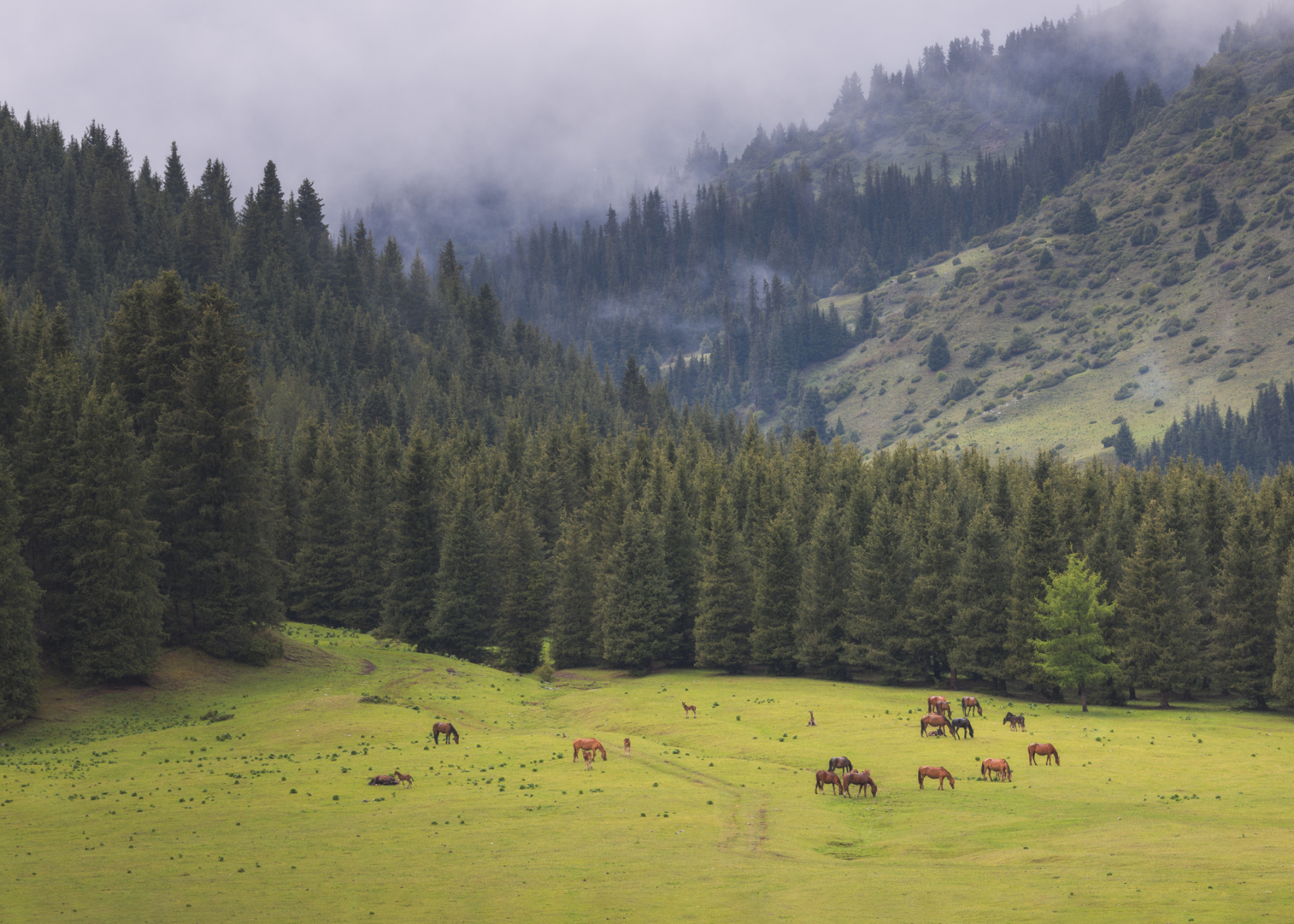 Тур в Киргизию. Иссык-куль и марсианские каньоны (17/42)