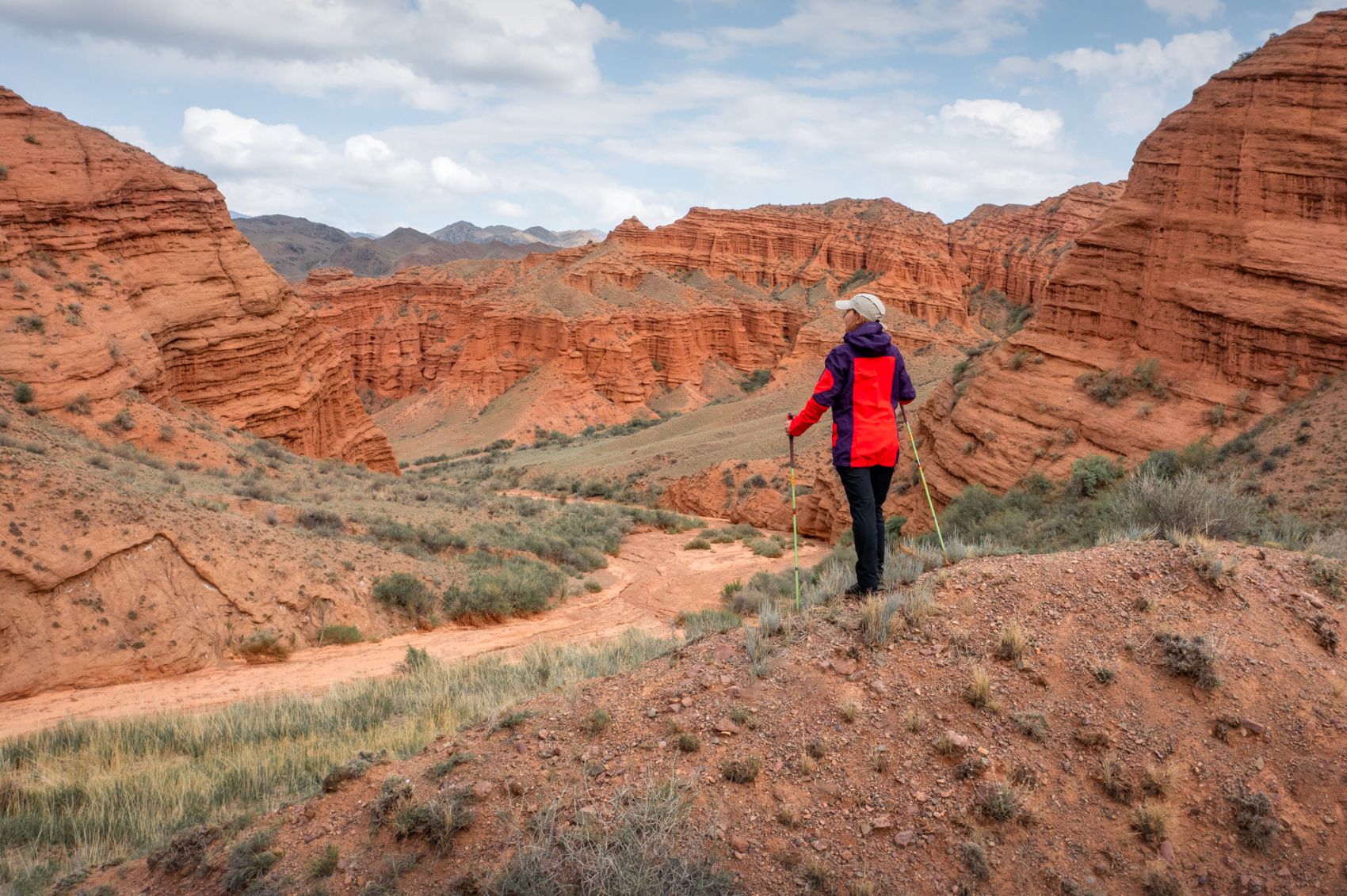 Цветение маков в Киргизии (16/49)