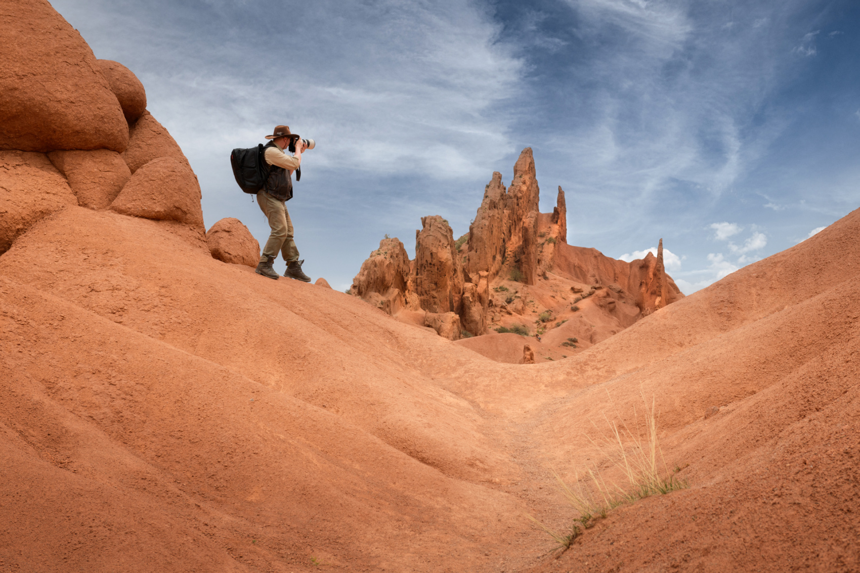 Цветение маков в Киргизии (4/49)
