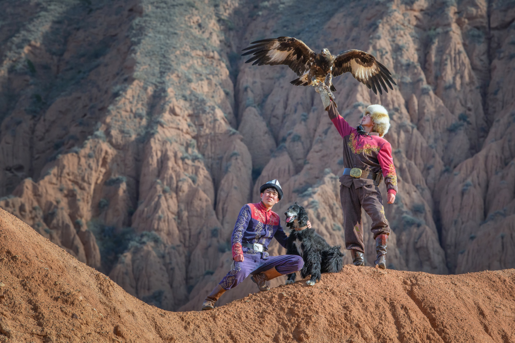 Цветение маков в Киргизии (23/49)