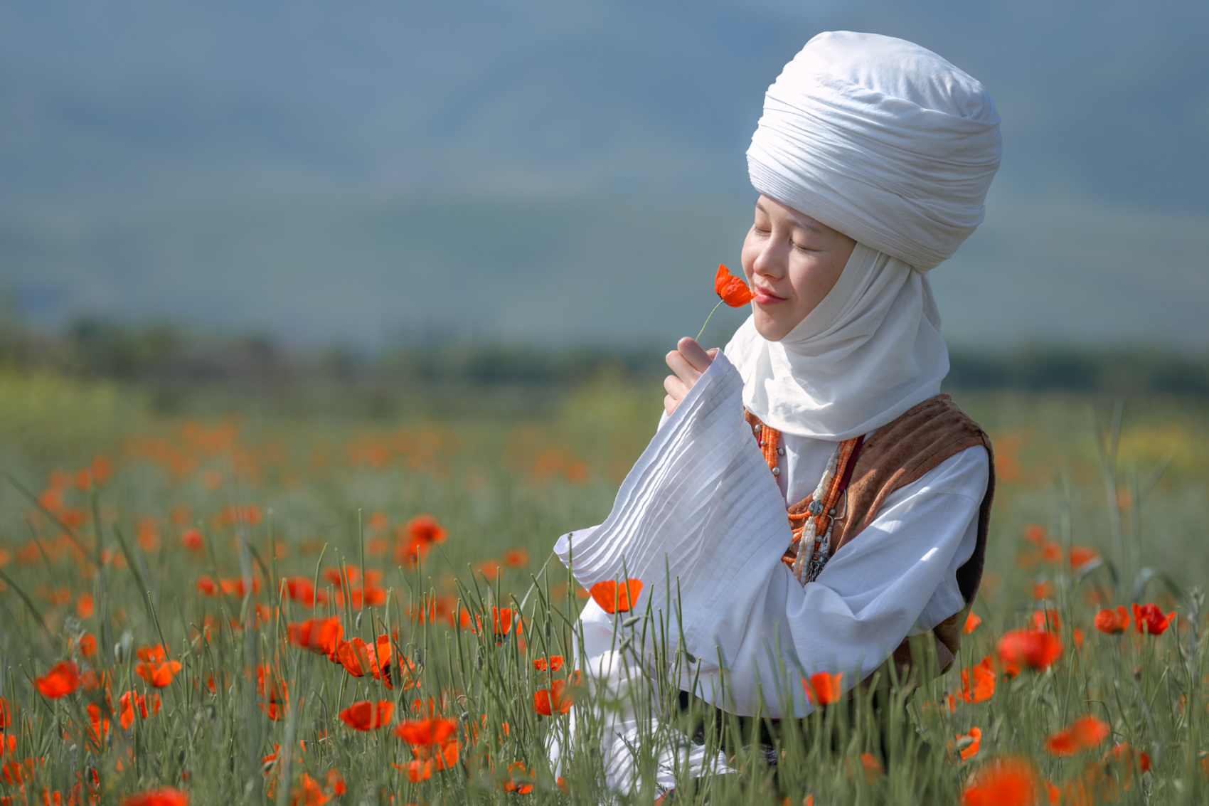 Цветение маков в Киргизии (2/49)