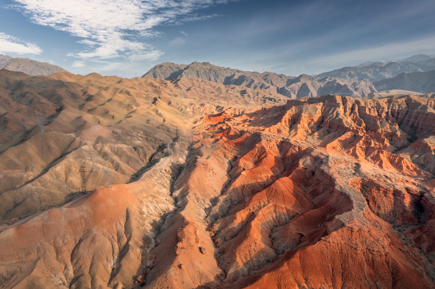 Цветение маков в Киргизии (6/49)
