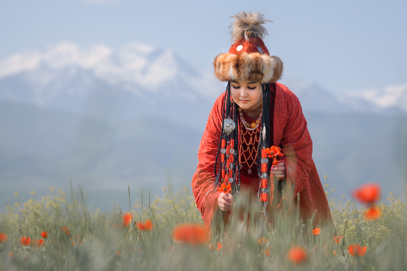 Цветение маков в Киргизии (22/49)