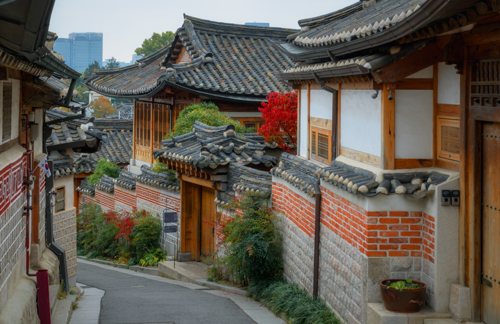 Красные клены и императорские дворцы (22/60)