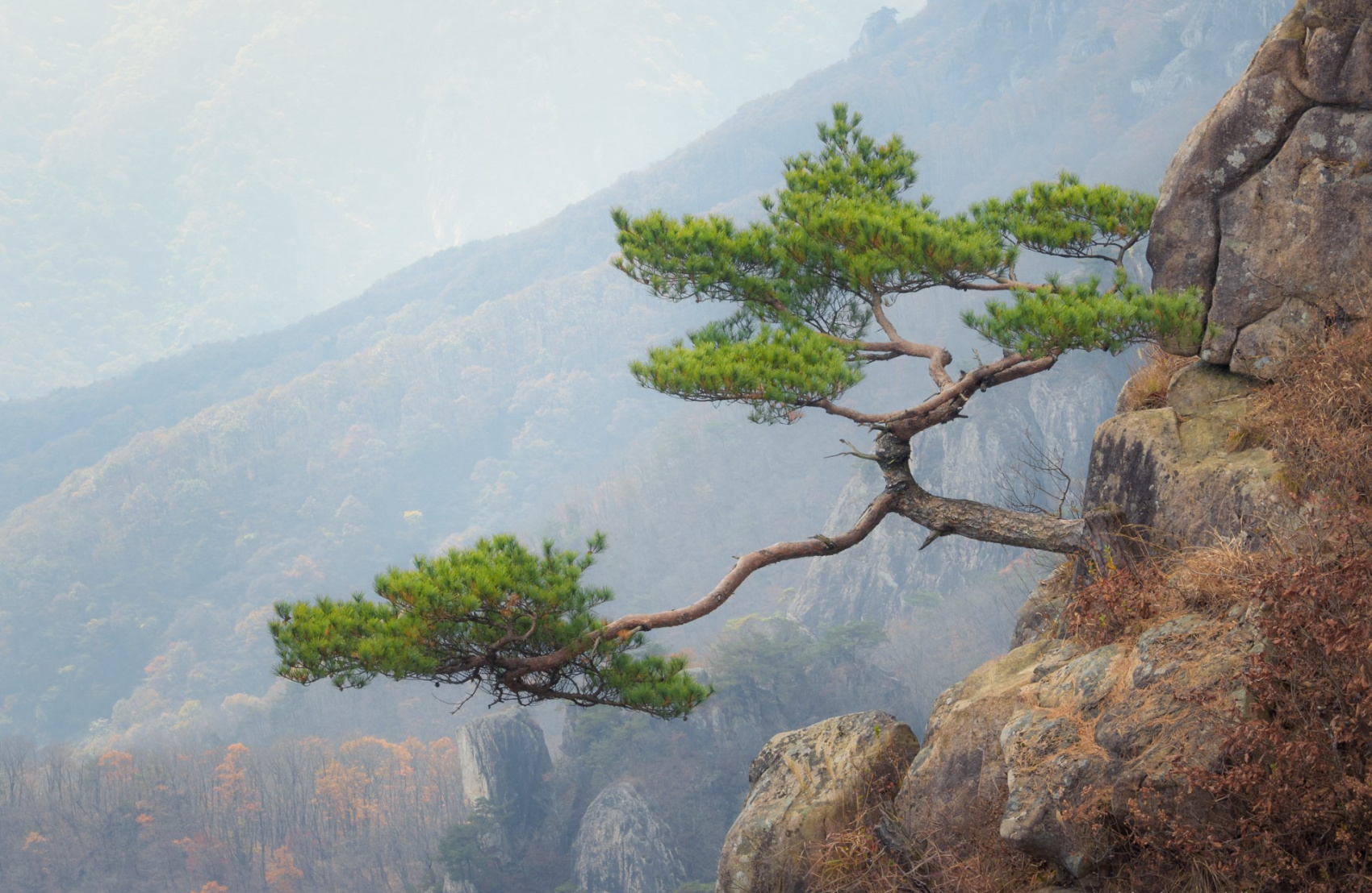 Красные клены и императорские дворцы (7/60)