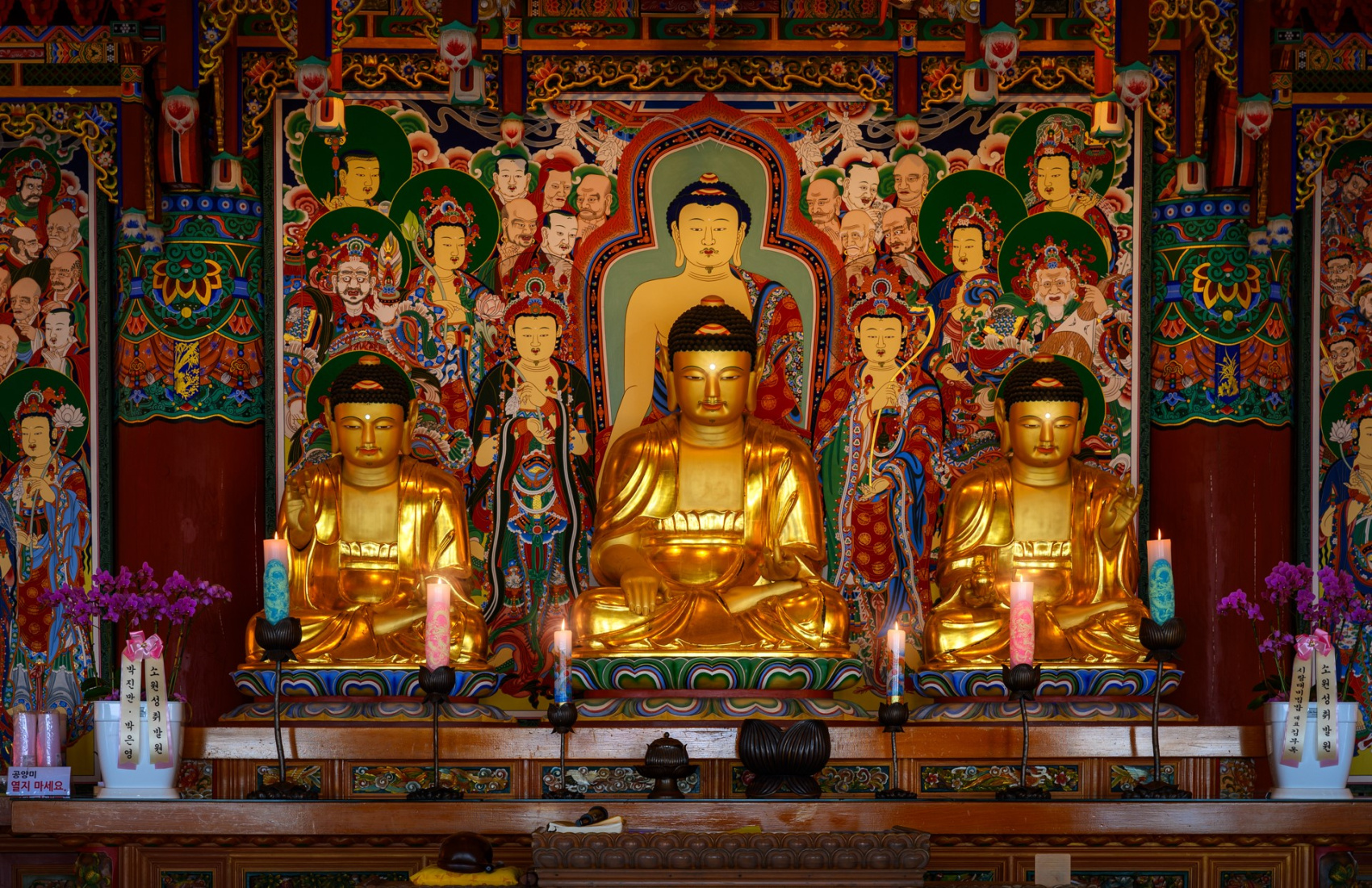 Красные клены и императорские дворцы (16/60)